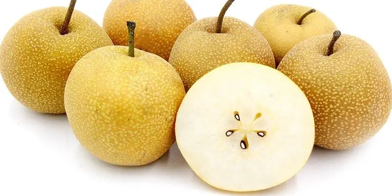 Chiness Pear